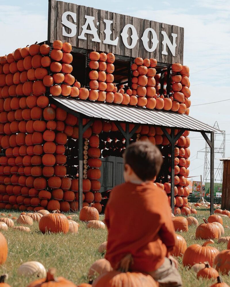 citrouilleville village de citrouilles saint-zotique activité automne 2024